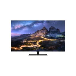 65" 3840 x 2160 UHD OLED Large Format Monitor