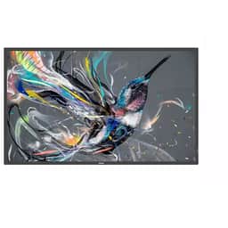 Philips 98BDL3650Q/00 98-Inch 4K Prosumer Display