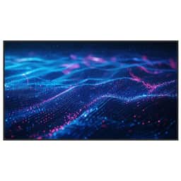 55" Commercial Non-Interactive Display