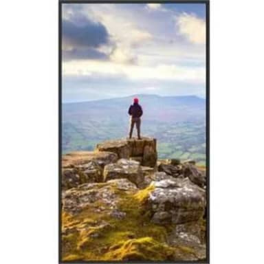 Sharp PN-E559 55" Ultra High Definition Commercial Display