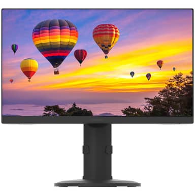 PNZ2410 24" black FHD IPS LED LCD narrow bezel VGA HDMI DP USB HUB