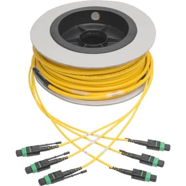 MTP/MPO (APC) Singlemode Slim Trunk Cable, 24-Strand, 40/100 GbE