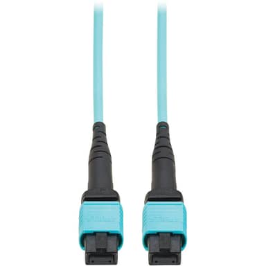 100G Multimode 50/125 OM4 Fiber Optic Cable -9.8 ft.