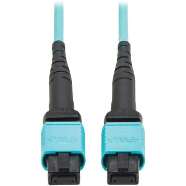 100G Multimode 50/125 OM4 Fiber Optic Cable -3.3 ft.